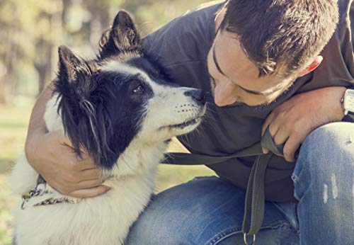 Jean K. - vet® Protección contra la humedad, la sal y la humedad, para perros y gatos, 100% natural, solo cera de abeja, manteca de karité, aceite de caléndula fabricado en Alemania
