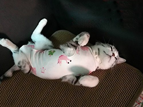 JIAN YA NA recuperación de operación de esterilización de algodón Profesional, Alternativa de Collar electrónico para Gatos y Perros Mascotas, después de Desgaste de la cirugía (M, Rosa (Caballo))