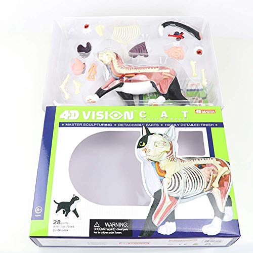 JL 4D Anatomía Animal Gato Blanco y Negro Anatomía del Órgano 28 Partes de Órganos, Juguete de Ensamblaje de Inteligencia Modelo de Pantalla Una Clínica de Mascotas