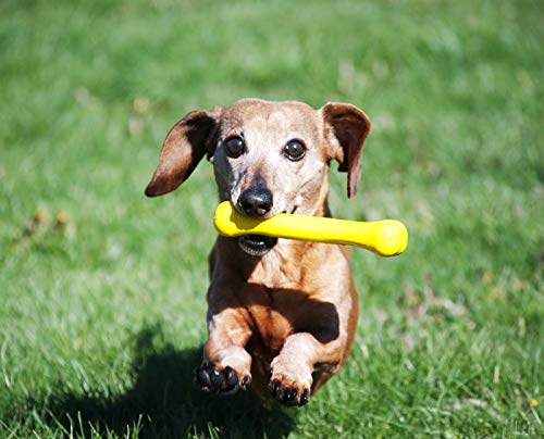 Jolly Pets Hueso TPE Juguete para Perro, 16 cm, Amarillo