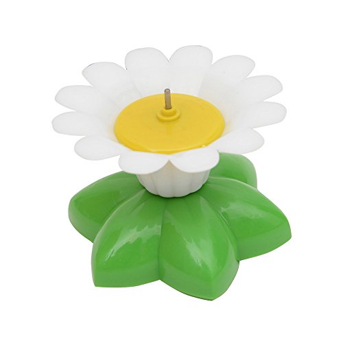 Juguete giratorio eléctrico de mariposas interactivas para gato con mariposas al azar, juguete de persecución para gatos y gatitos