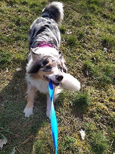 Juguete para perros DINGO – cazador de piel de oveja con plomo azul largo 130 cm, recompensa de motivación agilidad para entrenamiento y diversión 15583