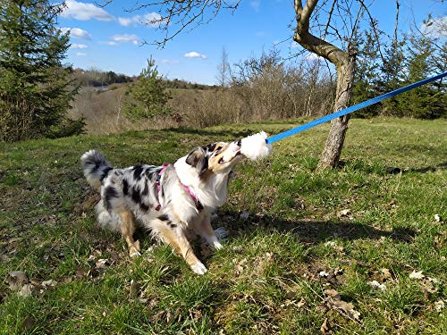 Juguete para perros DINGO – cazador de piel de oveja con plomo azul largo 130 cm, recompensa de motivación agilidad para entrenamiento y diversión 15583