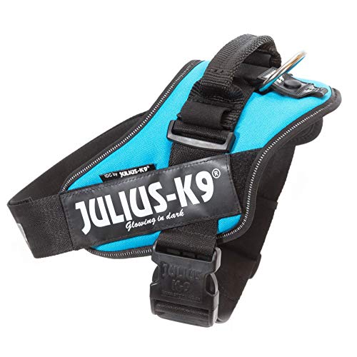 JULIUS-K9 16IDC Power Harness
