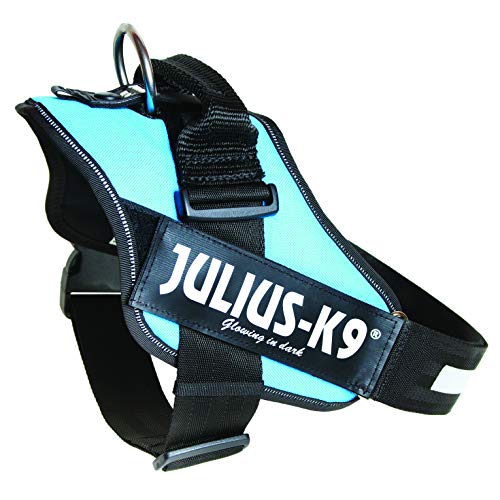JULIUS-K9 16IDC Power Harness