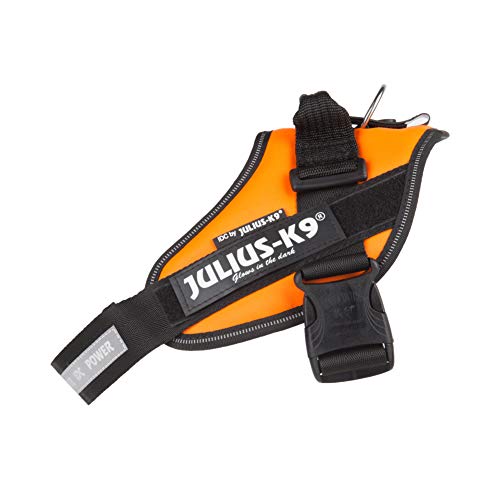 JULIUS-K9 16IDC Power Harness