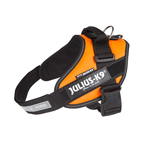 JULIUS-K9 16IDC Power Harness