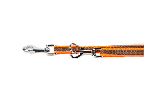 Julius-K9 216GM-OR-DP Color & Gray Correa de Perro del Estupendo-Apretón, 20 mm x 2.2 m, Ajustable, Naranja y Gris