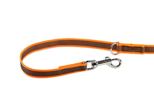 Julius-K9 216GM-OR-DP Color & Gray Correa de Perro del Estupendo-Apretón, 20 mm x 2.2 m, Ajustable, Naranja y Gris