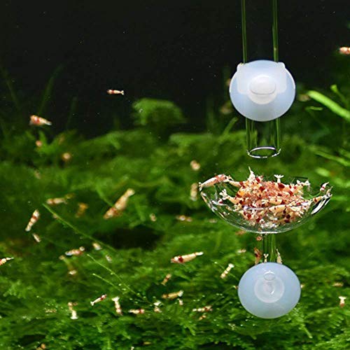 Juxing Bandeja para Tubo de alimentación de gambas y Peces de Acuario, Conjunto de Alimentador de Acuario Ensamblado con Acrílico Tubo de Comida, Tubo de 8 cm y Placa de 6 cm