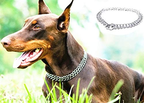 JYHY - Collar para Perro de Lujo, con Cadena en Forma de P y Cadena de Metal de Hierro y Doble Fila, para Entrenar a los Perros pequeños, medianos y Grandes (2.5mm × 45cm)