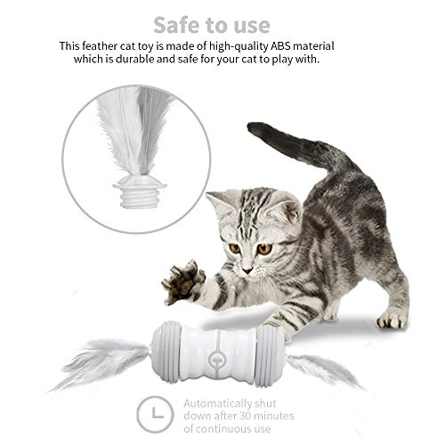 Kasachoy Juguete interactivo para gatos, bola de gato con pluma de rotación automática, carga USB de 360 grados, bola de juguete de color incorporada, 2 modos de velocidad para gatos y gatitos