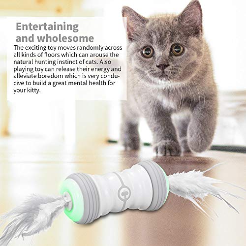 Kasachoy Juguete interactivo para gatos, bola de gato con pluma de rotación automática, carga USB de 360 grados, bola de juguete de color incorporada, 2 modos de velocidad para gatos y gatitos