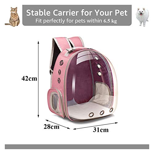 KEHUITONG PSWK Portador de Gatos Bolsas Transpirable Pet transportables Pequeño Perro Gato Mochila Espacio de Viaje Cápsula Cage Cage Bolsa DE Transporte DE Pet Carrer para Gatos (Color : Light Grey)