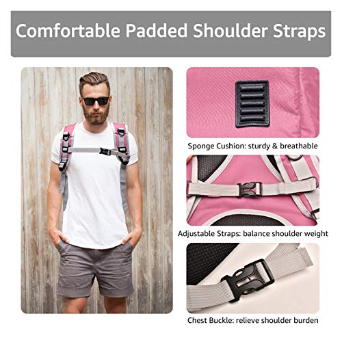 KEHUITONG PSWK Portador de Gatos Bolsas Transpirable Pet transportables Pequeño Perro Gato Mochila Espacio de Viaje Cápsula Cage Cage Bolsa DE Transporte DE Pet Carrer para Gatos (Color : Light Grey)