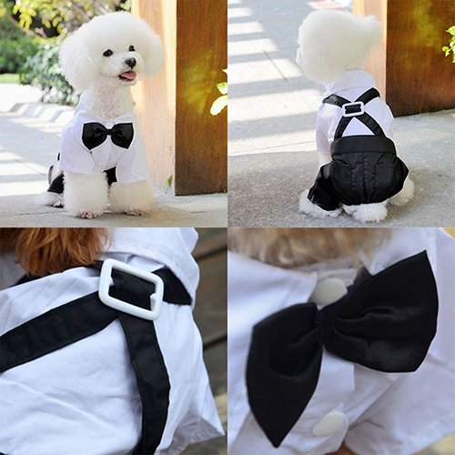 KeKeandYaoYao Traje de moquin para mascotas y perros y gatos, traje de esmoquin con pajarita para cachorros S-XXL – XL