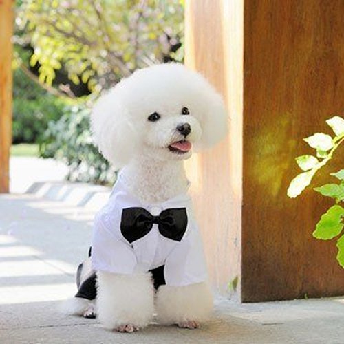 KeKeandYaoYao Traje de moquin para mascotas y perros y gatos, traje de esmoquin con pajarita para cachorros S-XXL – XL