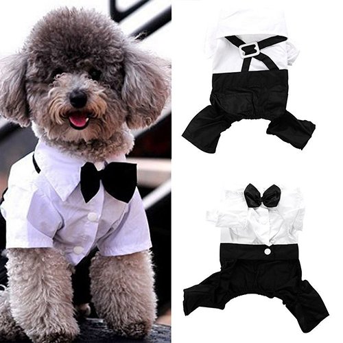 KeKeandYaoYao Traje de moquin para mascotas y perros y gatos, traje de esmoquin con pajarita para cachorros S-XXL – XL