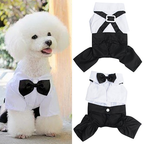 KeKeandYaoYao Traje de moquin para mascotas y perros y gatos, traje de esmoquin con pajarita para cachorros S-XXL – XL
