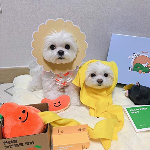 Kelong Juguete de peluche para perros, juguete de alimentación para cachorros, estilo mandarina, interactivo, duradero para ocultar y buscar juguetes