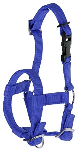 Kerbl Alpaka 27196 - Cabestro de Alpaca (Nailon, Ajustable), Color Azul