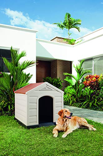 KG KitGarden - Caseta Perro Jardín, 90x92x89 cm, Beige/Terracota, Kennel Large