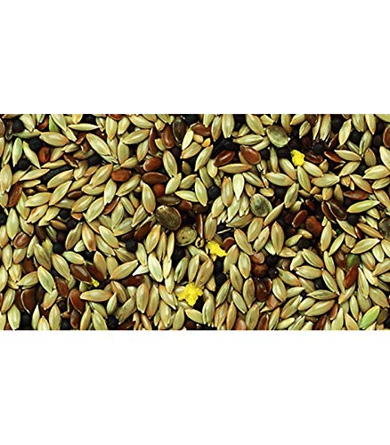 KIKI MIXTURA Canarios SIN Avena - Saco de 25 kg