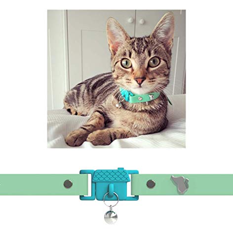 Kittyrama Visto en Vogue. Collar para Gato Meadow Galardonado 'Cat Friendly'