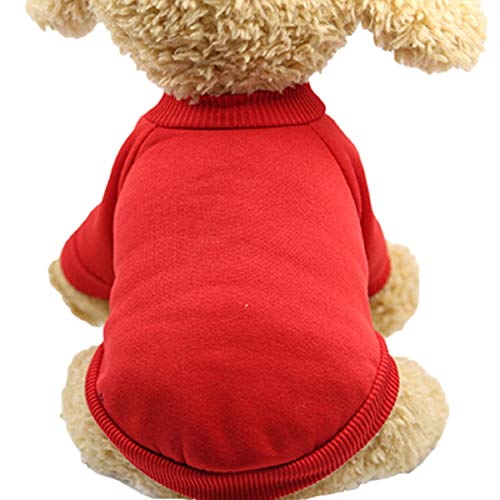 KKDIY Ropa para Perros Pelea de Cachorros cálidos con Dos piernas Suéter de Lana de Peluche para Gatos Ropa para Mascotas Ropa para Gatos одежда для собак Luces Navidad-Blanco, XXL, Alemania
