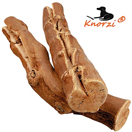Knorzi País brasas Perros Juguete 100% Sin Tratar y Natural SOSTENIBLE – Aumentado, Sembrado y Perfectamente. En Alemania (Pfalz)