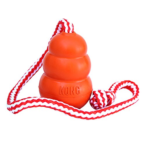 KONG - Aqua - Flotador para Buscar, Ideal para Jugar en el Agua - para Perros Medianos