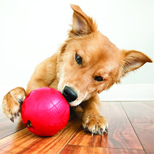 KONG Bola para Galletas S