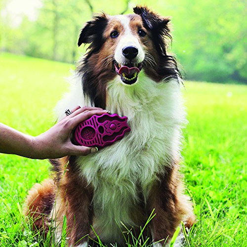 KONG - ZoomGroom - Cepillo para Perro, para peinar y enjabonar - para Perros de Raza Grande (Azul)