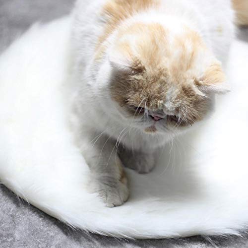 KUIDAMOS Interfaz USB Impermeable de la Almohadilla de calefacción del Animal doméstico Anti-rastrero para el Perro del Gato en el Invierno(Mink White)