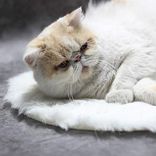KUIDAMOS Interfaz USB Impermeable de la Almohadilla de calefacción del Animal doméstico Anti-rastrero para el Perro del Gato en el Invierno(Mink White)