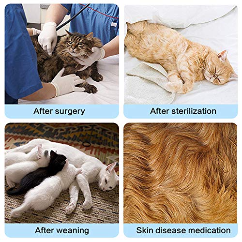 KunLS Pijamas para Perros Pequeños Ropa para Gatos Pequeños Perro médico Chaleco Traje Corporal para Perro después de la cirugía Perro recuperación Trajes Pink,S