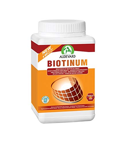 LABORATOIRES AUDEVARD 920-4873 Biotinum 900G Audevard