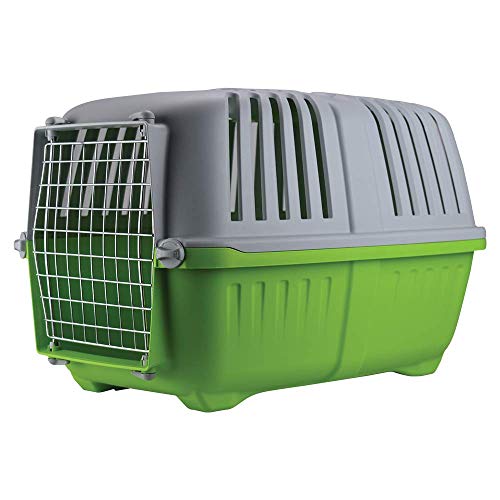 LazyBones Pratiko Pet Carrier, Grande, 55 x 36 x 36 cm