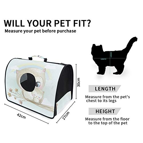 LDIYEU Búho Gris Madre Bebé Pájaro Portátil Gato Perro Cachorro Portador Gatito Pug Mochila Bolsa de Transporte Aerolínea aprobada Pet Carrier para al Aire Libre Viaje