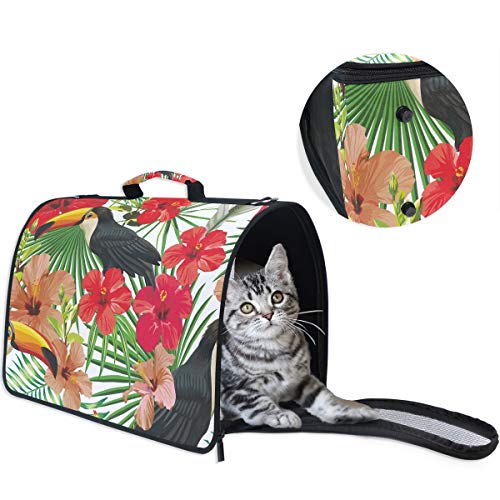 LDIYEU Pájaro Tropical Tucán Loro Portátil Gato Perro Cachorro Portador Gatito Pug Mochila Bolsa de Transporte Aerolínea aprobada Pet Carrier para al Aire Libre Viaje