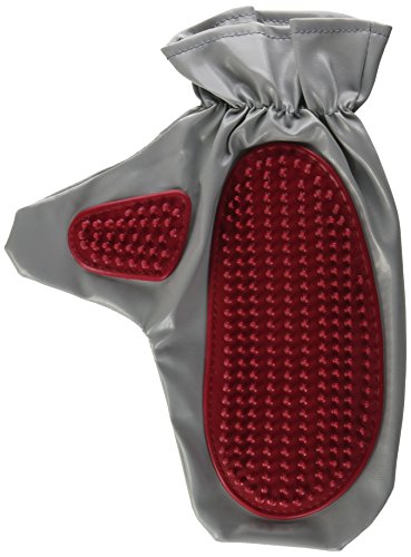 Le Salon Cepillo Grooming Essential