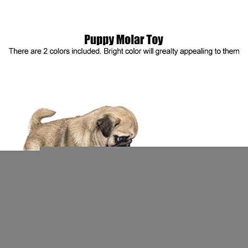 Lecxin Juguete para Perro Mascota, 2 Piezas TPR Transparente Mascota Cachorro Molar Dientes limpios Juguete Chupete masticable Jugando Juguetes de Entrenamiento para Perro Gato, sonda incorporada