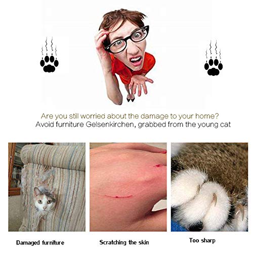 LEERAIN Tablero De Rascar del Gato Forma De Bola Circular Sisal Natural Bola De Burbuja SóLida Bola Colgante Pluma Juguetes Garra De Molienda Suministros De Mascotas FormacióN Gracioso
