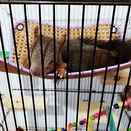 LeerKing Hamaca para Animales Pequeños Rata Cama Colgante Hámster Estera de Hamaca Fresca de Verano para Ardilla, Conejillo de Indias, Ardilla voladora, Hurón, Conejo, Forma Cuadrada, Morado L