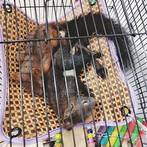 LeerKing Hamaca para Animales Pequeños Rata Cama Colgante Hámster Estera de Hamaca Fresca de Verano para Ardilla, Conejillo de Indias, Ardilla voladora, Hurón, Conejo, Forma Cuadrada, Morado L
