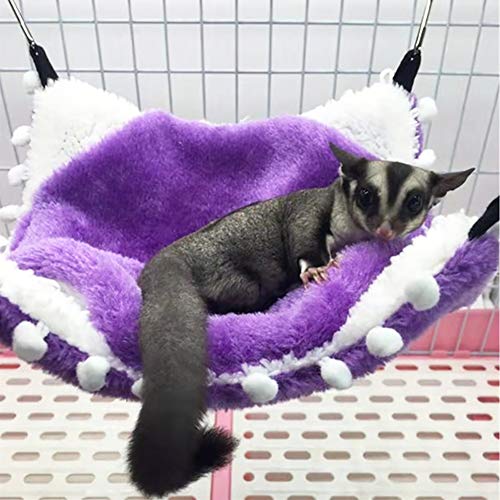 LeerKing Hamaca Simple Des Roedores para Mascotas Litera Suspendida Hamster Durmiendo Espeso Caliente Planeadores del Azúcar Conejillo de Indias Ardilla Voladora, Morado M
