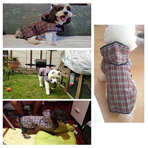 LeerKing Impermeable para Perros Abrigo Impermeable para Mascotas Chubasquero con Capucha y Agujero para Arnés con Etiqueta Mágica para Perros Pequeños y Medianos L