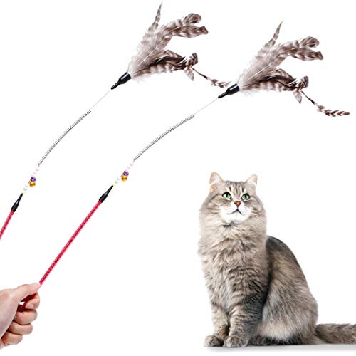Legendog 2 Piezas Primavera Gato Teaser Divertido ImitacióN Pluma Interactivo Gato Palo Gatito Juguete Gatito Varita Gato Pluma Palo Gatito Juguetes Juguete Gato