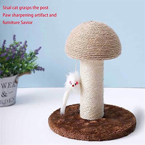 LEIKEGONG Árbol de Gato Pequeño Cat Natural Cat Scratching Board Cat Stimbing Marco Multifuncional Gato Jumping Plataforma de Hongos Cat Rasguño Post, Gratis para Jugar y Jugar