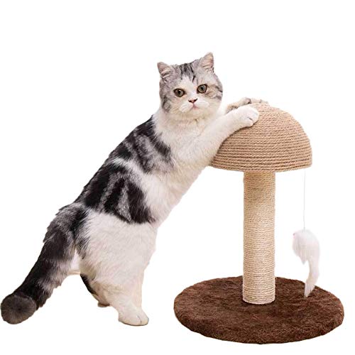 LEIKEGONG Árbol de Gato Pequeño Cat Natural Cat Scratching Board Cat Stimbing Marco Multifuncional Gato Jumping Plataforma de Hongos Cat Rasguño Post, Gratis para Jugar y Jugar